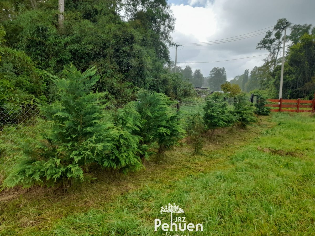 terreno