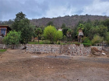 Imagen 16
