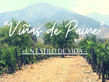 Venta / Parcela / Paine