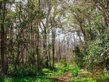 Venta / Parcela / Paine