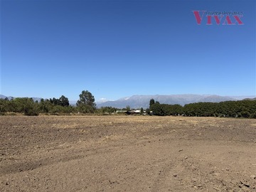 Venta / Parcela / Paine