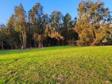 Venta / Parcela / Paine