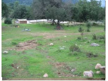 Imagen 9