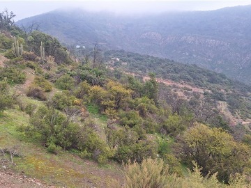 Venta / Parcela / Paine