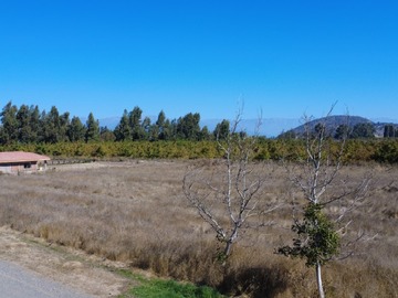 Imagen 5