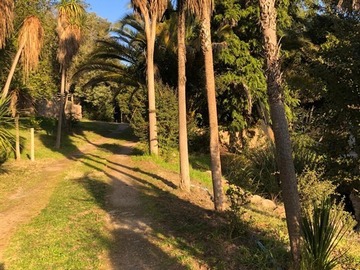 Venta / Parcela / Paine
