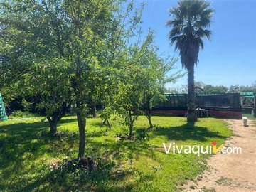 Imagen 8