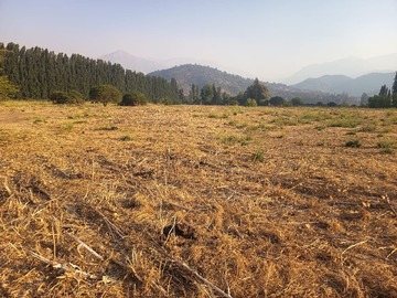 Venta / Parcela / Paine