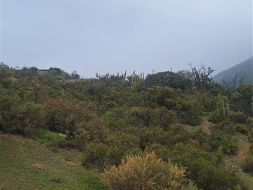 Imagen 6