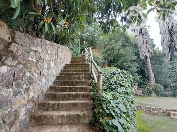 Imagen 23