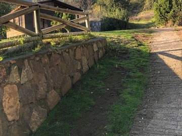 Imagen 19