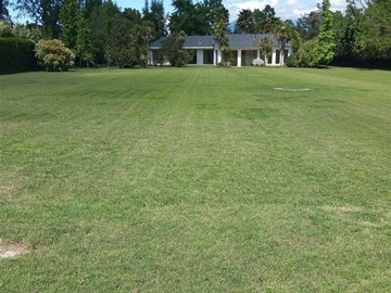 Venta / Parcela / Paine