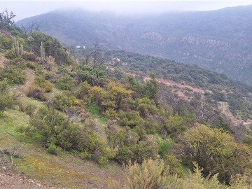 Venta / Parcela / Paine
