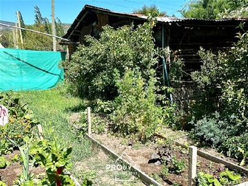 Imagen 29