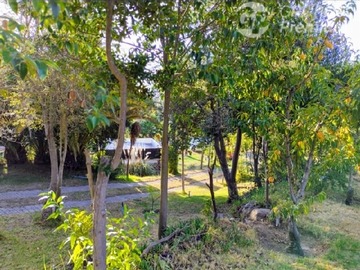 Imagen 13