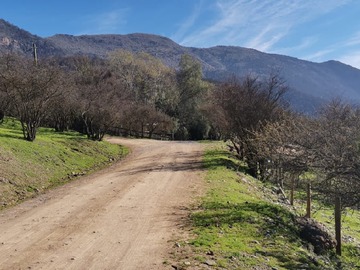Venta / Parcela / Paine