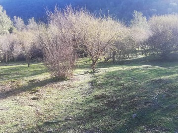 Imagen 5