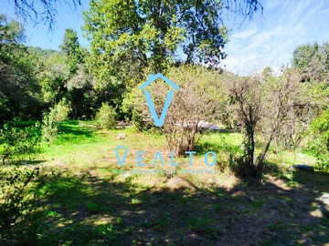Imagen 12