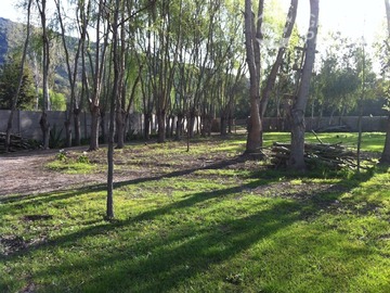Imagen 6