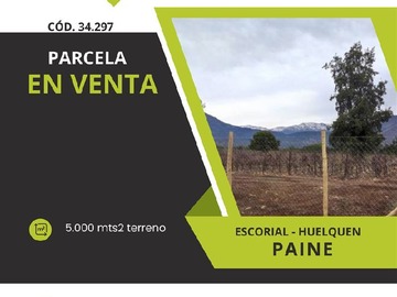 Venta / Parcela / Paine