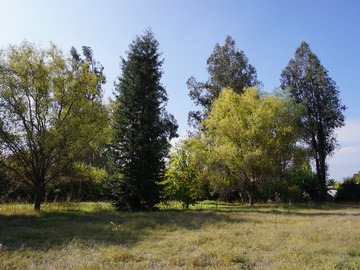 Venta / Parcela / Paine