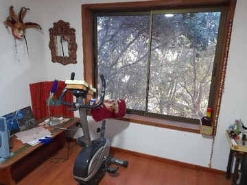 Imagen 13