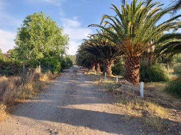 Venta / Parcela / Paine