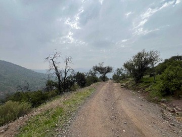 Imagen 5
