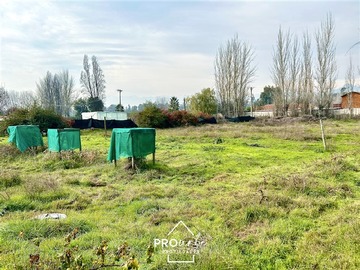 Imagen 39