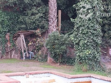 Imagen 21