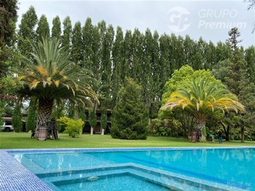 Imagen 8