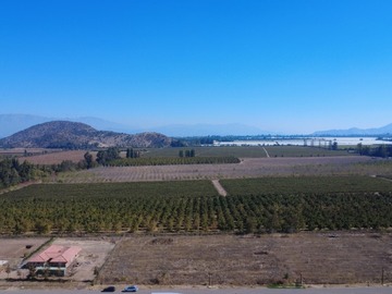 Venta / Parcela / Paine