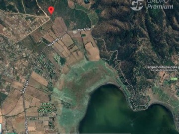 Imagen 5