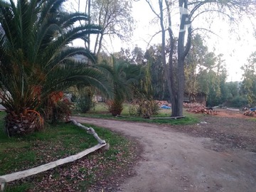 Imagen 38