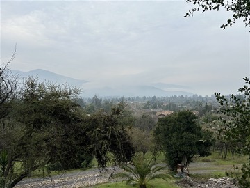 Imagen 11