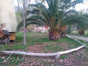 Imagen 37