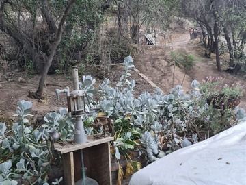 Imagen 5