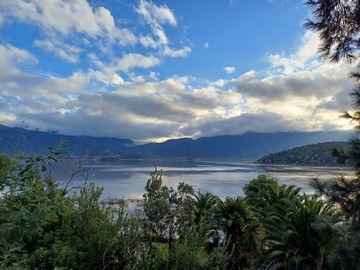 Imagen 5