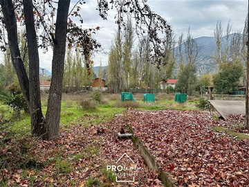 Imagen 32