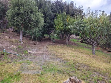 Imagen 19