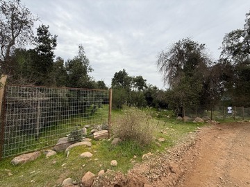 Imagen 11