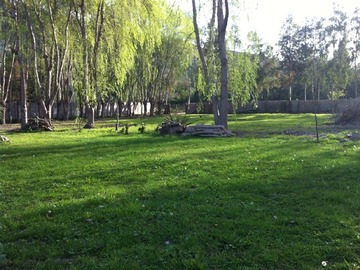 Imagen 6