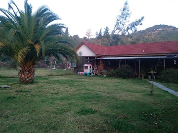 Imagen 11