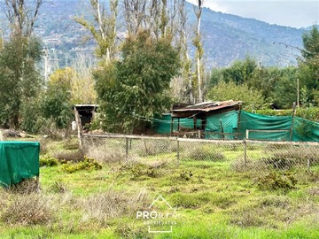 Imagen 31