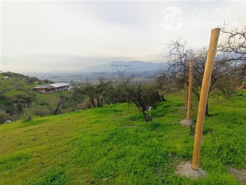 Imagen 8