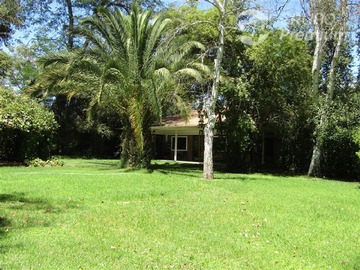 Imagen 23