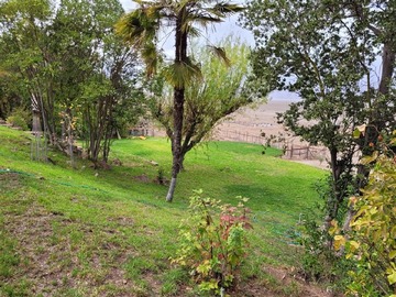 Imagen 11