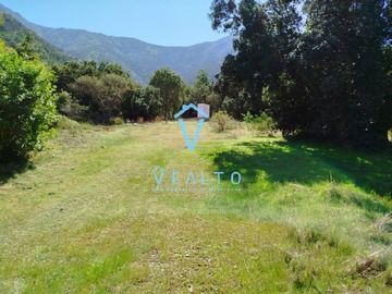 Imagen 11