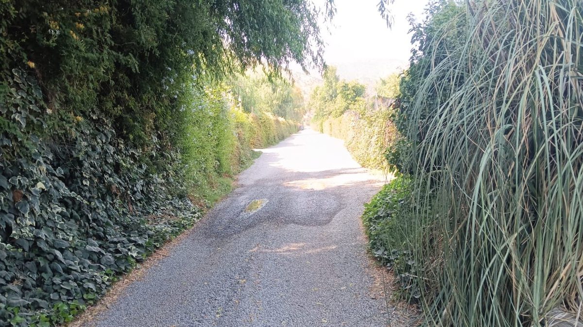 UN CAMINO INTERIOR