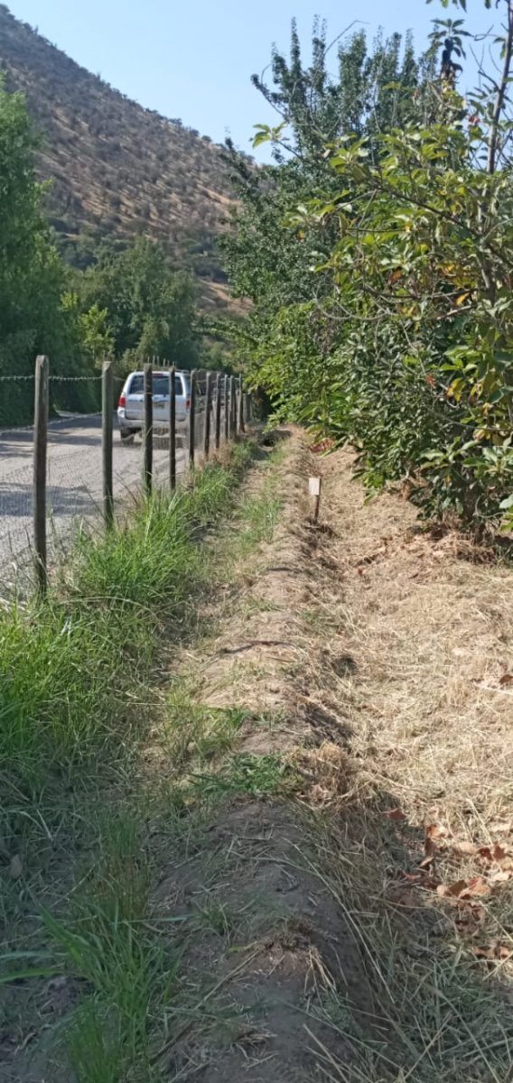 ACEQUIA DE RIEGO